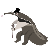Long-nosed coati with stick