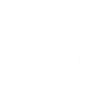 Hipster bird shapes geometric