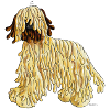 Briard - Dog - Cartoon- Breed