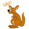 What? - What? kangaroo