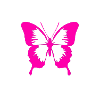 Butterfly pink butterfly
