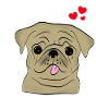 Mops - Pug