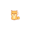 Shiba Inu dog
