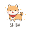 Shiba Inu Dog Dogs