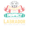 Labrador