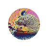 hedgehog