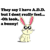 ADD bunny