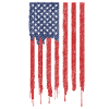 USA America Flag