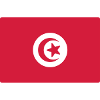 Tunisia T-shirt Flag