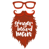 Ginger Beard Man