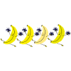 FreAky bAnAnA