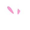 Ski Hase