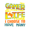 I am a gamer