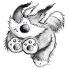 Flying Bearded Collie- Chien