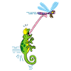 Chameleon and dragonfly