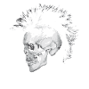 punk skull