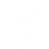 Baby monkey jungle