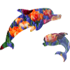 dolphin
