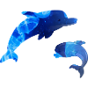 dolphin