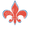 FLEUR DE LIS SHIRT