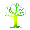 Arbre vert poison