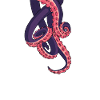 Pink Tentacles