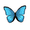 Butterfly Butterfly Animal Blue