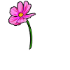 girlpower