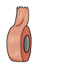 duck tape BDSM Bâillon artisan