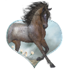 Pferd