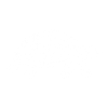 nerdy turtle geometric