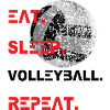 Volleyball sport 2reborn