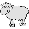 Schaf2