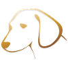 Dog gold