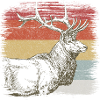 Hirsch