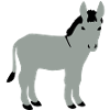 Donkey