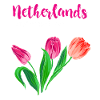 Netherlands Holland Tulips