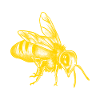 Honey Bee