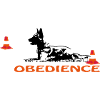 Obedience Malinois in box