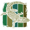 Crocodile