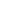 V8