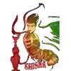 Shisha