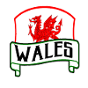 Cadeau d'origine Dragon Flag Wales Celts