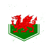 Wales flag flag