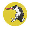 Animal lover gift dog Frisbee