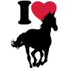 I love horses
