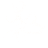 Zodiac Virgo