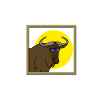 Gnu au soleil