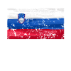 Slovenia flag