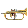 bugle